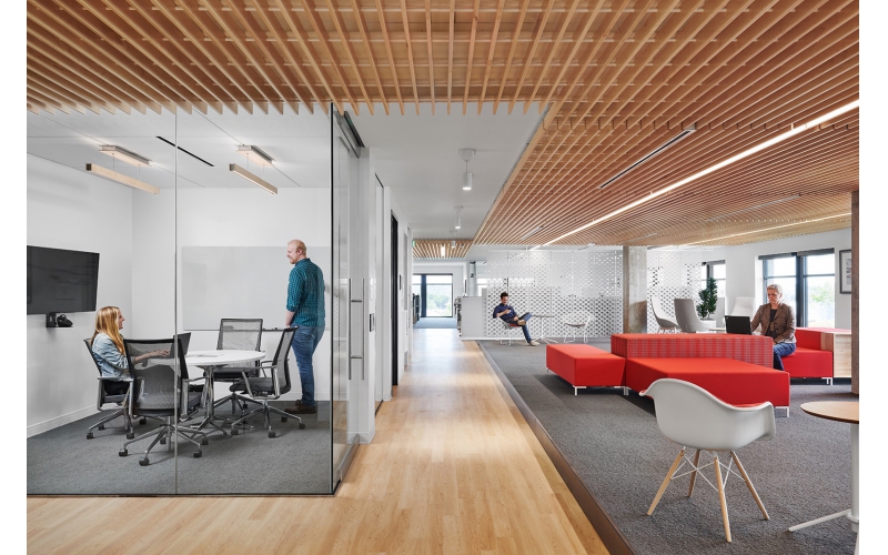 轻熟优雅风 软件公司Sas奥斯汀办公设计欣赏